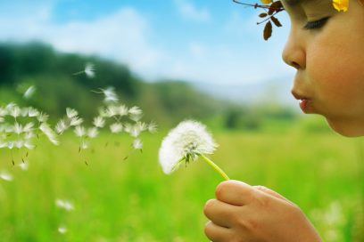 A vida: nossa melhor e mais importante amiga!